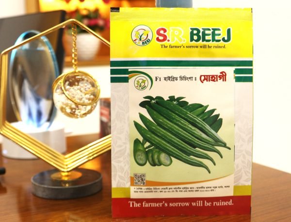 সোহাগী (F1)হাইব্রিড চিচিংগা